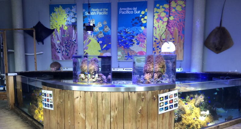 How we studied guests to hone better Sea Lab exhibits