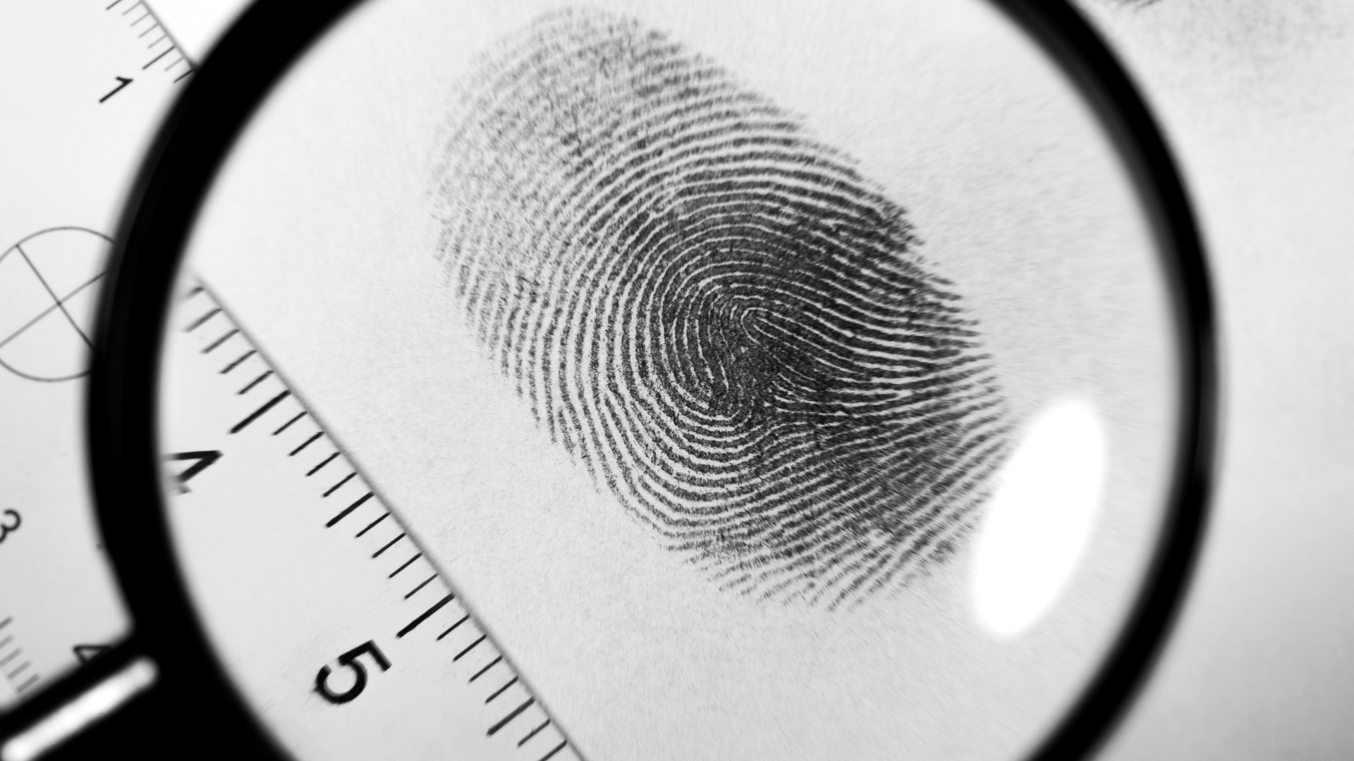 Mini-Camp: Forensic Lab